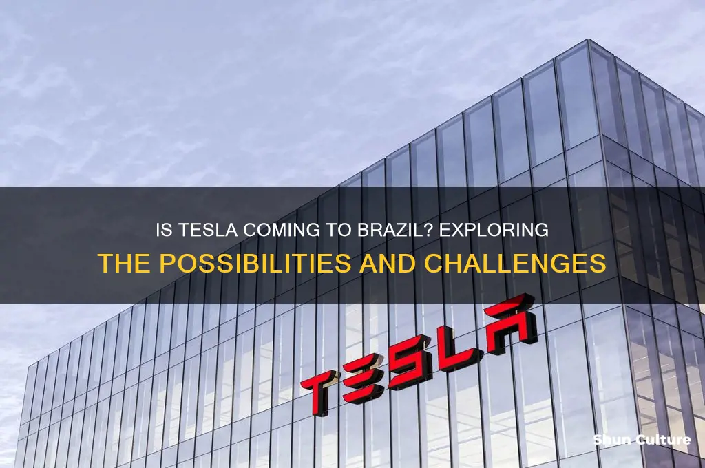 is tesla in brazil