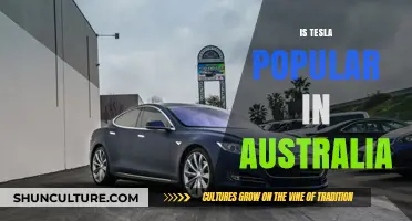 Tesla in Australia: A Hit or Miss?