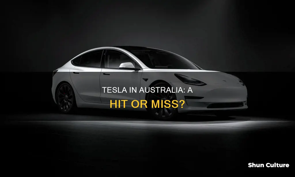is tesla popular in australia