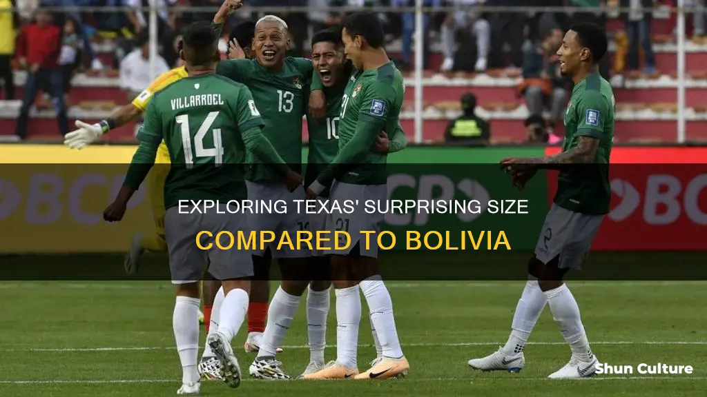 is texas bigger than bolivia