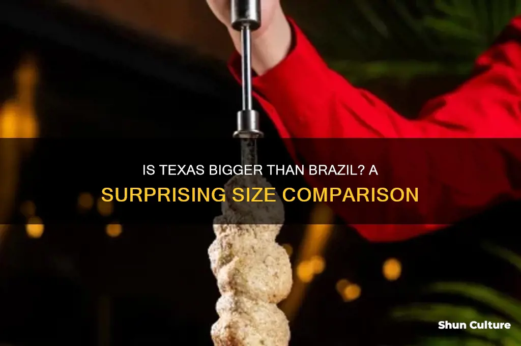 is texas bigger than brazil