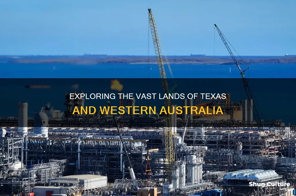 is texas bigger than western australia