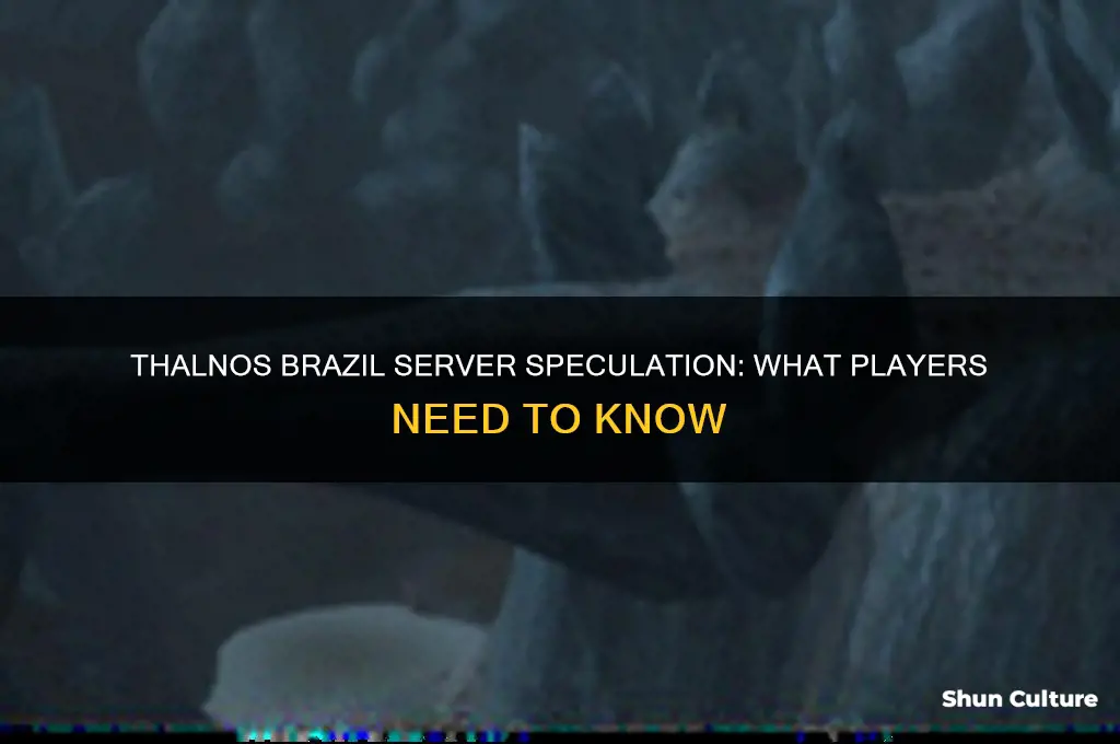 is thalnos gonna be a brazil server