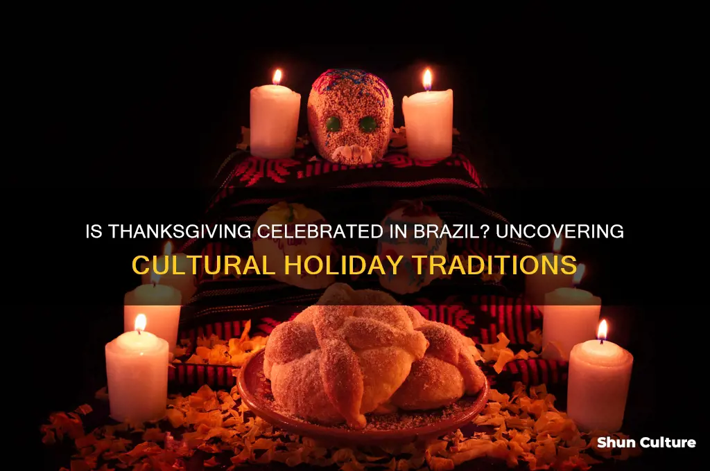 is thanksgiving a holiday in brazil
