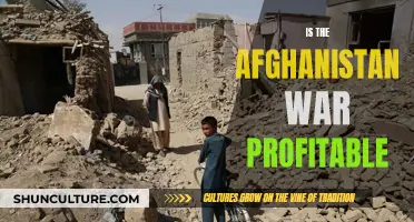 The Profiteers of Perpetual War: Examining the Afghanistan Conflict