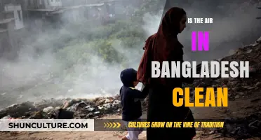 Breathing in Bangladesh: Uncovering the Truth About Air Quality