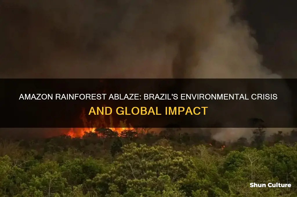 is the amazon forest in brazil on fire