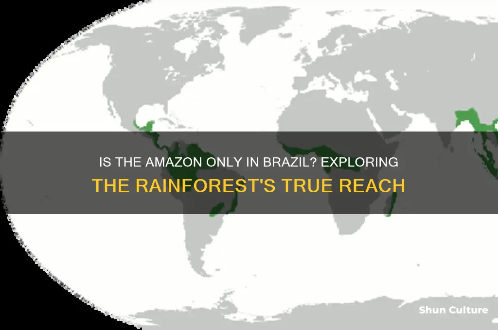 is the amazon only in brazil