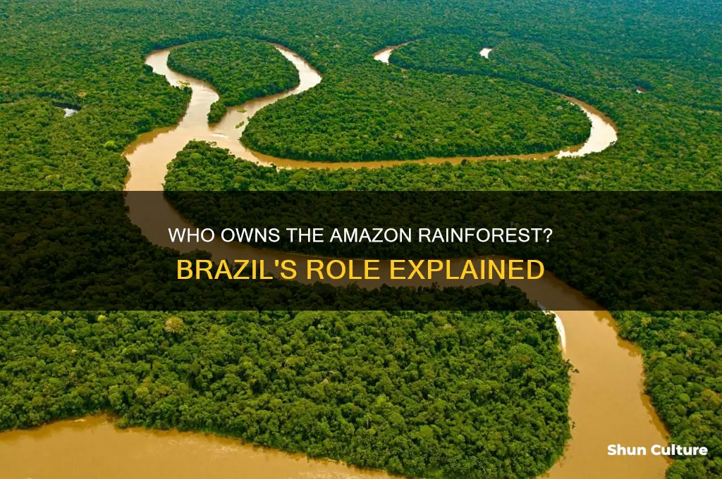 is the amazon rainforest owned by brazil