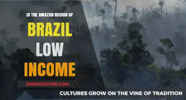 Exploring Brazil's Amazon Region: Low Income Realities and Challenges