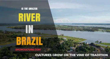 Exploring the Amazon River: Brazil's Majestic Waterway and Beyond