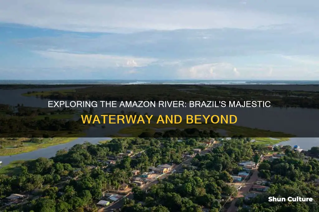 is the amazon river in brazil