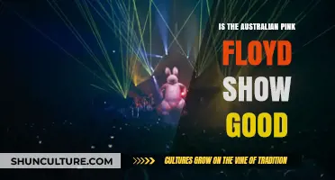 Australian Pink Floyd Show: Worth the Hype?