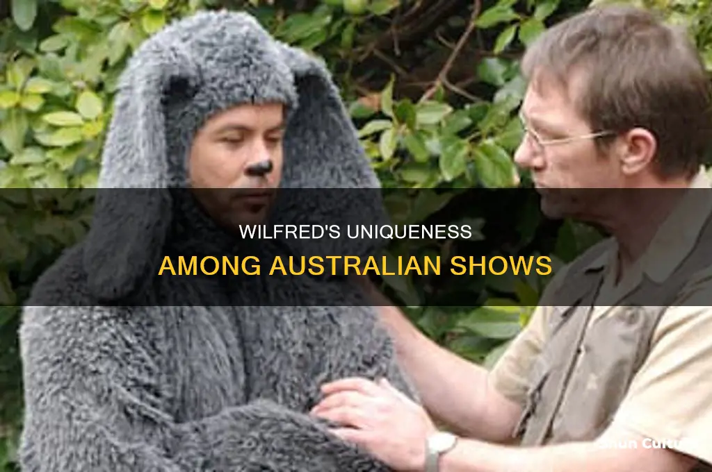 is the australian wilfred like other australian shows