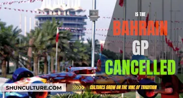 Bahrain GP: Cancelled or Continued?