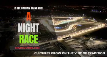 Bahrain Grand Prix: Night Racing in the Desert