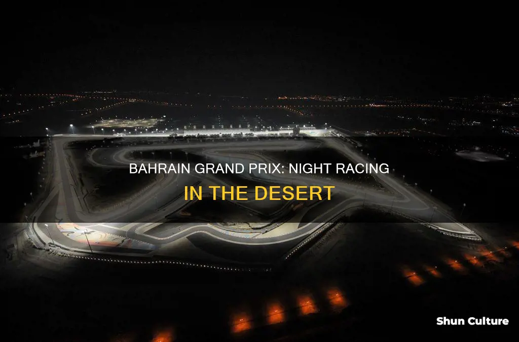 is the bahrain grand prix a night race