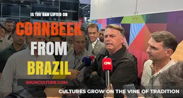 Brazil's Cornbeek Ban Lifted: What It Means for Trade and Farmers