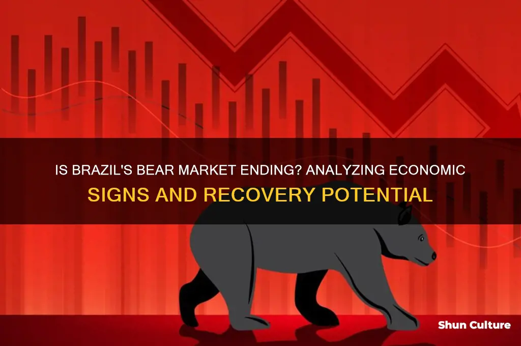 is the bear market over for brazil