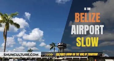 Belize Airport: Navigating a Slow-Paced Travel Experience