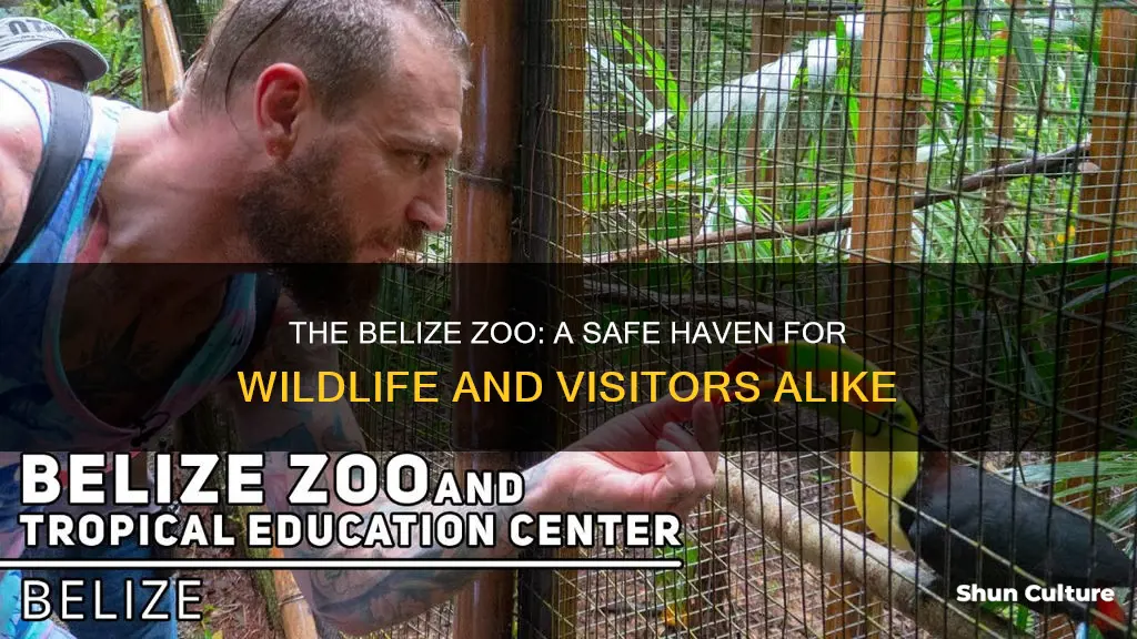 is the belize zoo safe