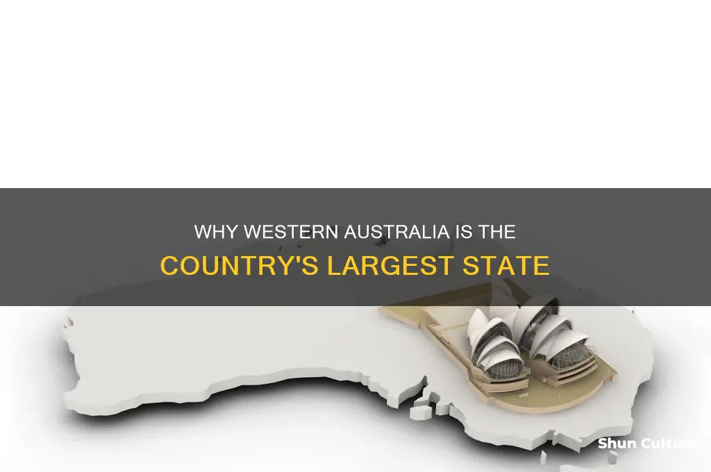 is the biggest state western australia