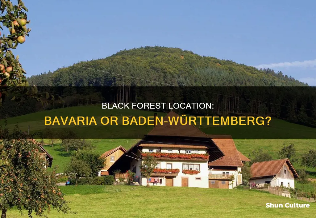 is the black forest in bavaria