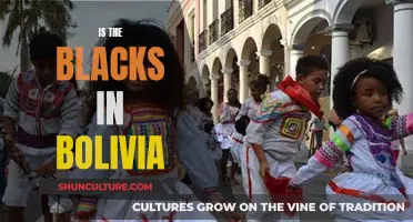 Bolivia's Black Community: A Historical Overview