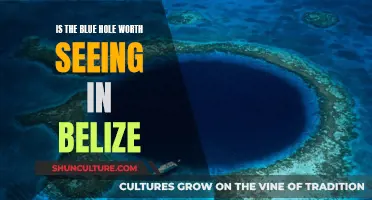 The Great Blue Hole Mystery: Is It Worth the Dive?