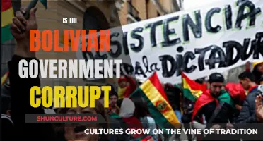 Bolivian Government: A Study in Corruption and its Impact