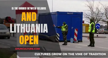 Belarus-Lithuania Border: Open or Closed?