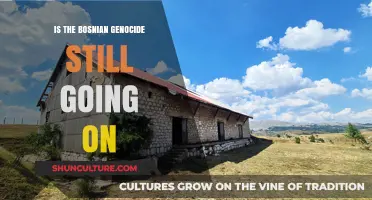 The Bosnian Genocide's Legacy: Ongoing Struggles and Unresolved Justice