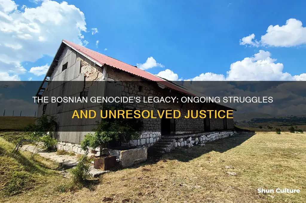 is the bosnian genocide still going on