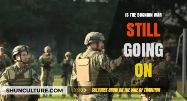 Is the Bosnian War Still Ongoing? Unraveling the Current Situation