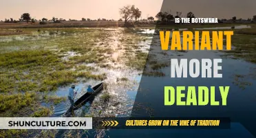 Botswana COVID-19 Variant: Deadlier Than Previous Strains? Expert Insights