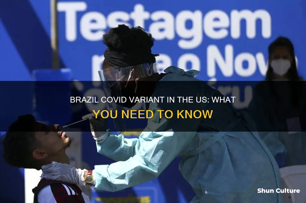 is the brazil covid variant in the us