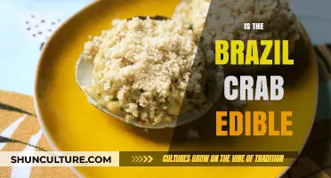 Is the Brazilian Crab Edible? A Tasty Exploration