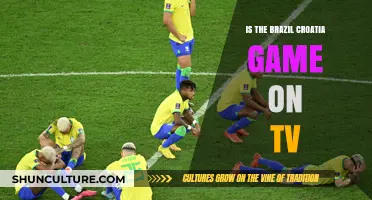 Brazil vs Croatia Match: TV Broadcast Details and Schedule
