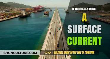 Exploring the Brazil Current: A Surface Current or Something More?