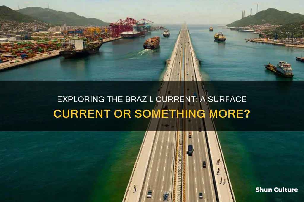 is the brazil current a surface current