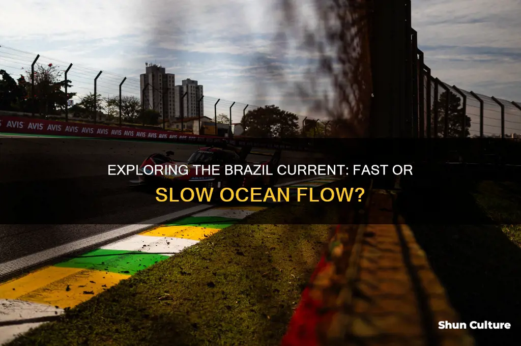 is the brazil current fast or slow