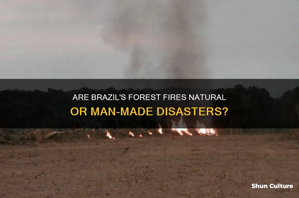 is the brazil forest fire natural