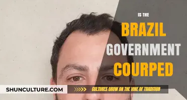 Is Brazil's Government Corrupt? Uncovering the Truth and Implications