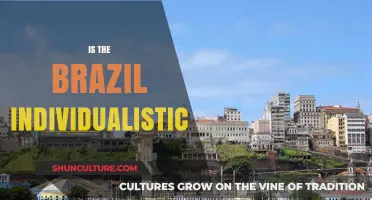 Exploring Brazil's Cultural Identity: Individualistic or Collectivist Society?