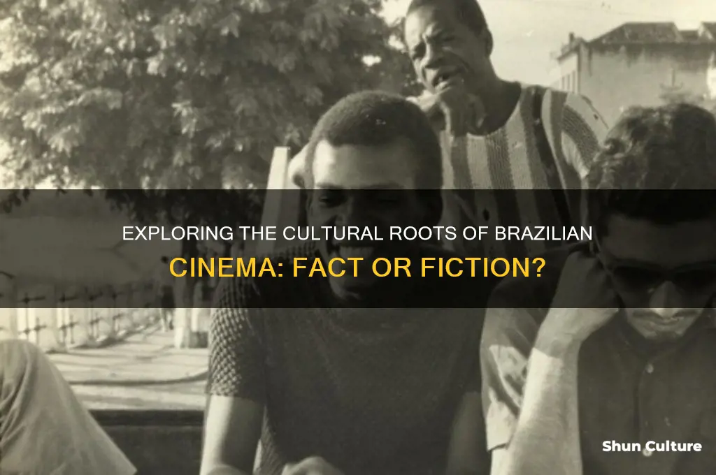 is the brazil movies based