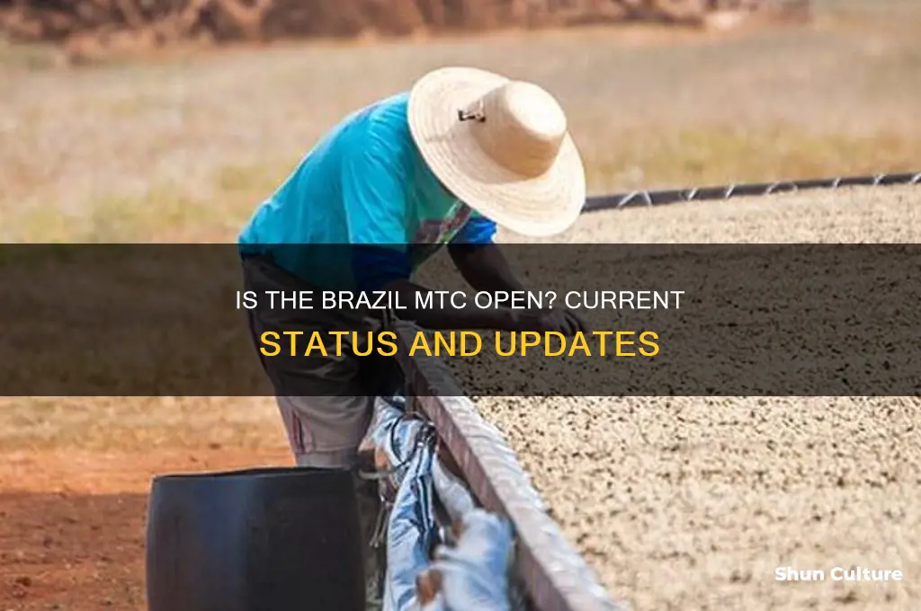 is the brazil mtc open