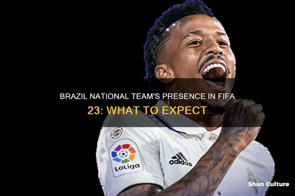 is the brazil national team in fifa 23