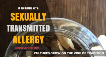 Brazil Nut Allergy: Unraveling the Myth of Sexual Transmission