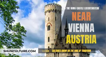 Exploring Castle Liechtenstein: A Day Trip from Vienna