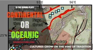 Unveiling the Nature of the Burma Plate: Continental or Oceanic?